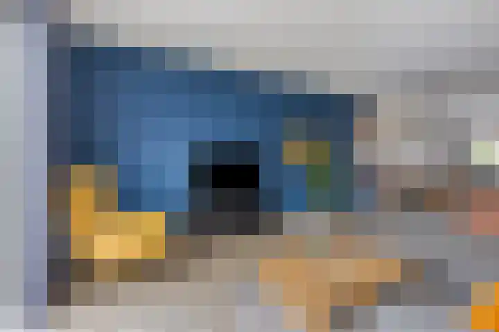 Oosterhof 2 Losser thumbnail 12