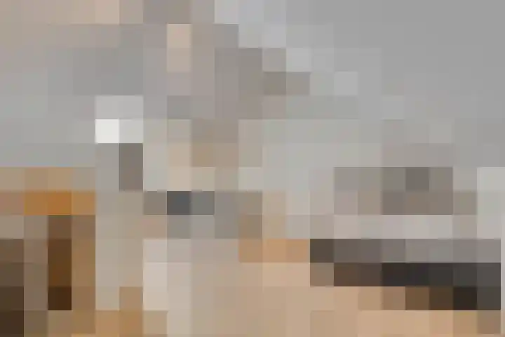 Oosterhof 2 Losser thumbnail 34
