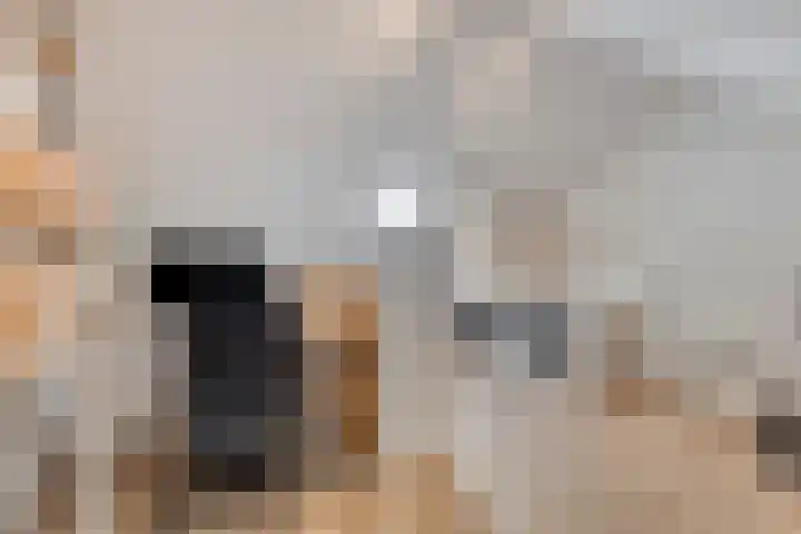Oosterhof 2 Losser thumbnail 35