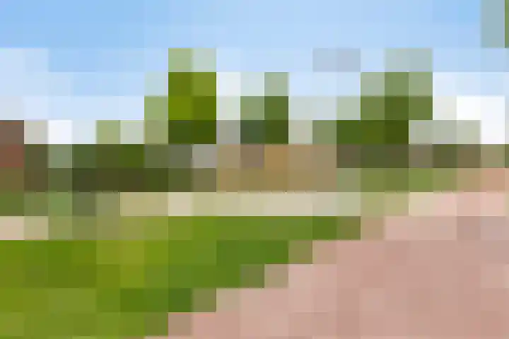 Oosterhof 2 Losser thumbnail 47