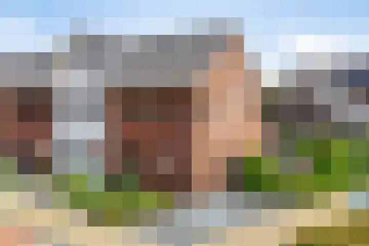Oosterhof 2 Losser thumbnail 6