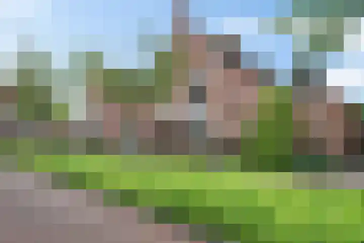Oosterhof 26 Enschede thumbnail 33
