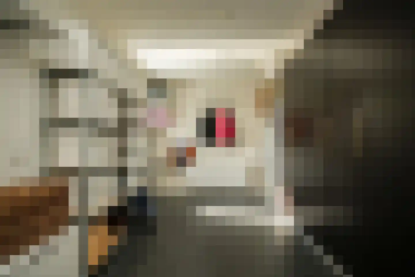 Oosterhof 29 Meteren thumbnail 36