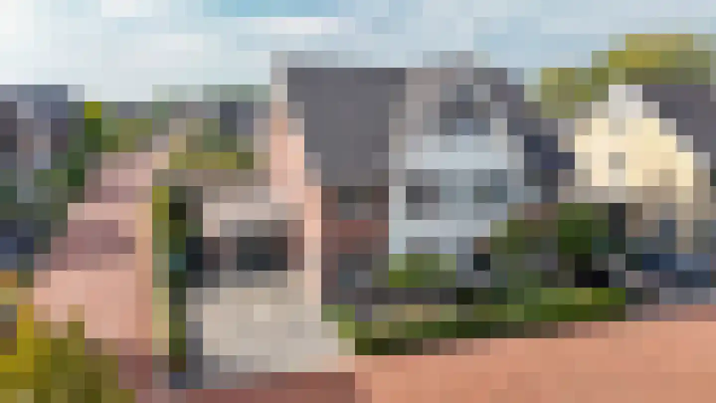 Oosterhof 29 Meteren thumbnail 51