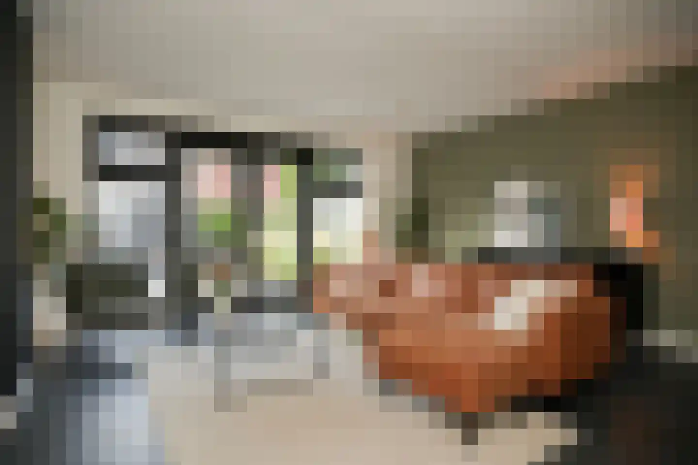 Oosterhof 29 Meteren thumbnail 8