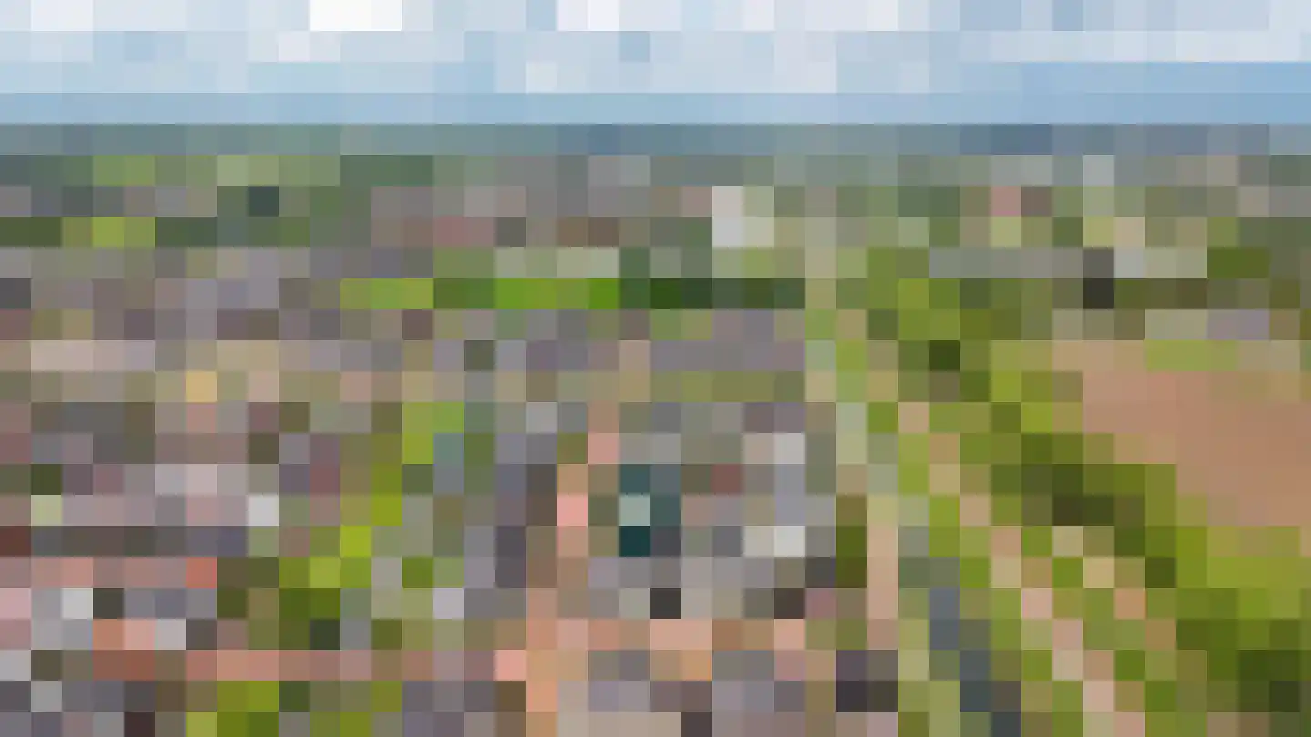 Oosterhof 31 Meteren thumbnail 39