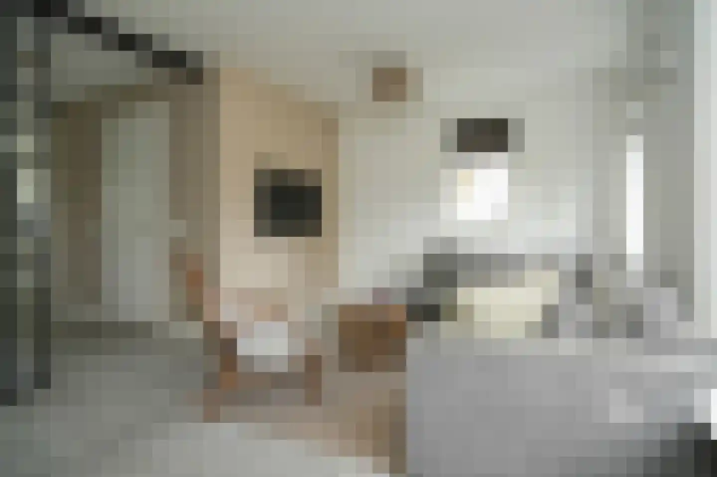 Oosterhof 31 Meteren thumbnail 8