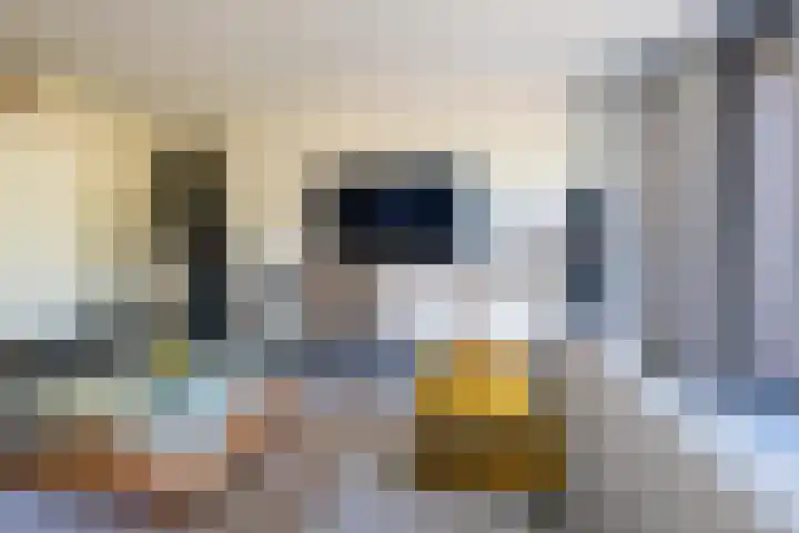 Oosterhof 33 Meteren thumbnail 13