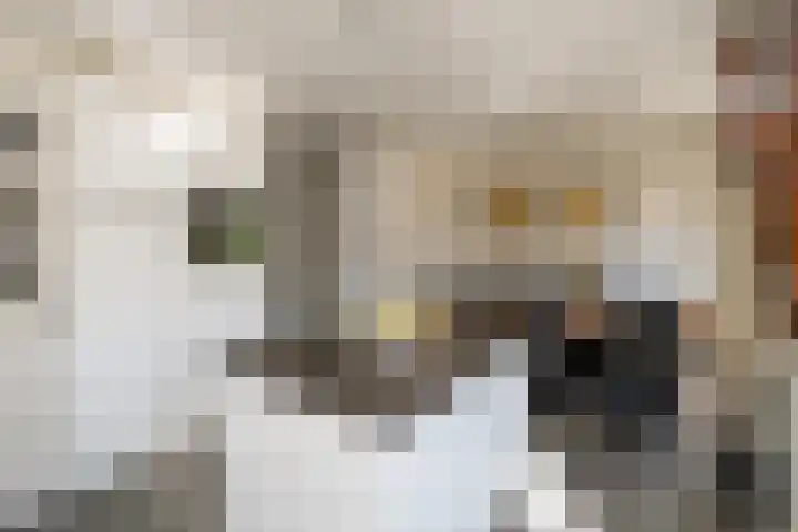 Oosterhof 33 Meteren thumbnail 18