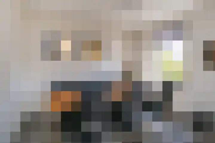 Oosterhof 33 Meteren thumbnail 19