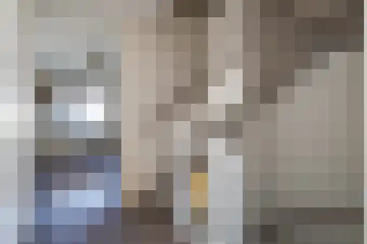 Oosterhof 33 Meteren thumbnail 20