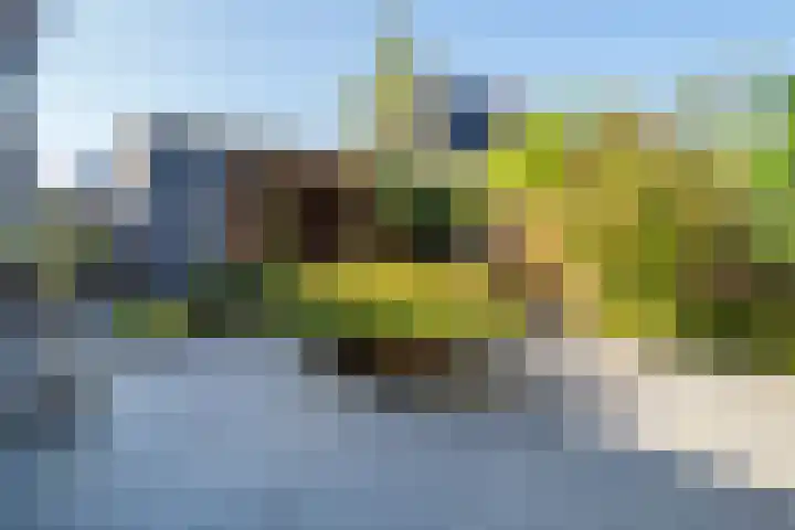 Oosterhof 33 Meteren thumbnail 31
