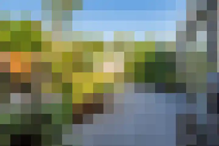 Oosterhof 33 Meteren thumbnail 34