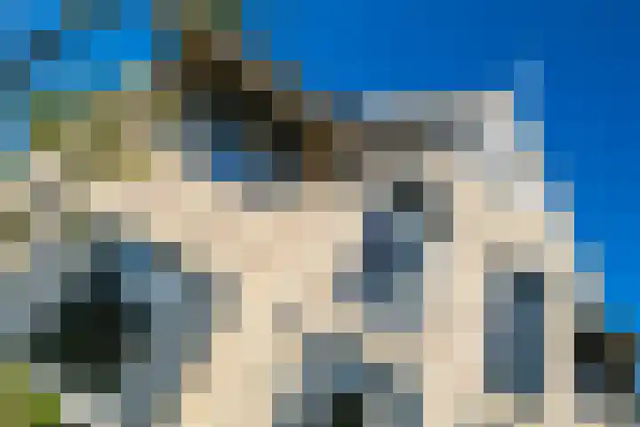 Oosterhof 33 Meteren thumbnail 37