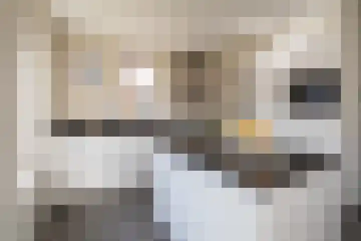 Oosterhof 33 Meteren thumbnail 4