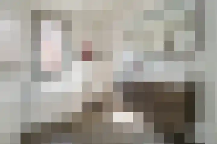 Oosterhof 33 Meteren thumbnail 5