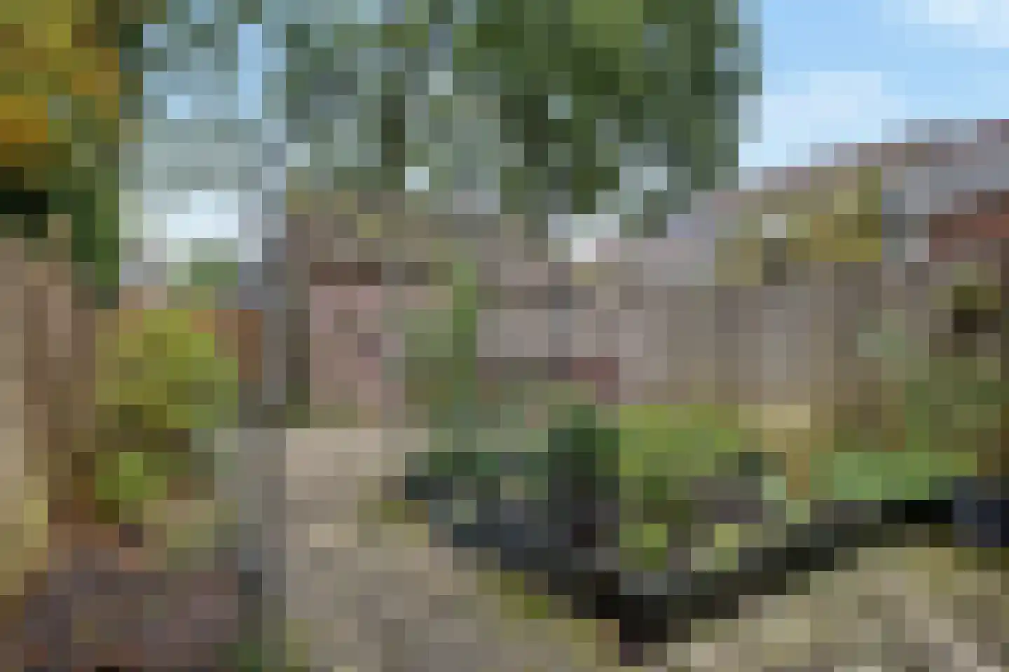 Oosterhof 4 Ede thumbnail 40