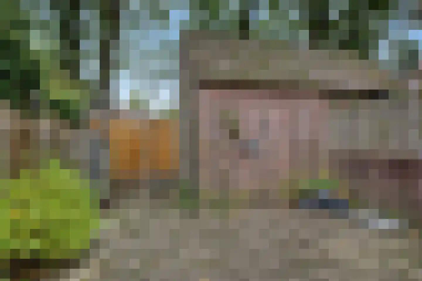 Oosterhof 4 Ede thumbnail 44