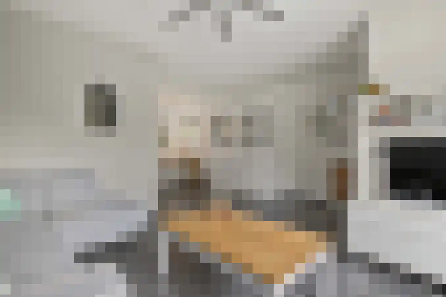 Oosterhof 4 Ede thumbnail 6