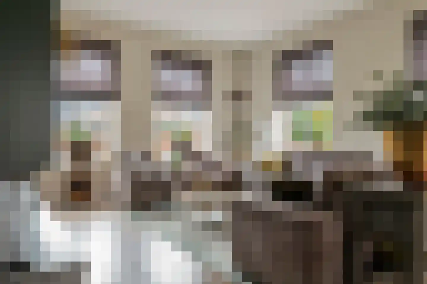 Oosterhof 4 Meteren thumbnail 13