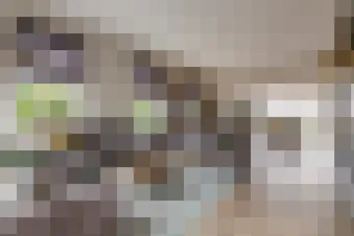 Oosterhof 4 Meteren thumbnail 14