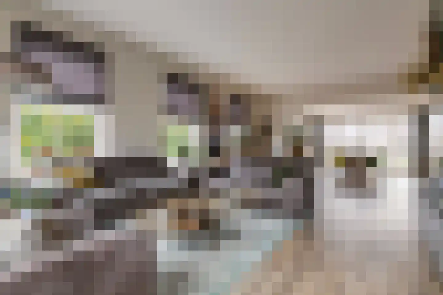 Oosterhof 4 Meteren thumbnail 14