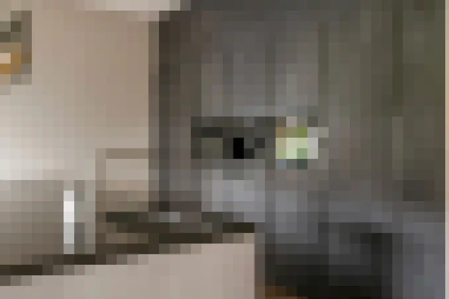 Oosterhof 4 Meteren thumbnail 19