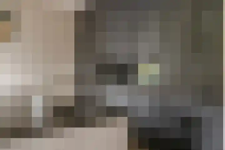 Oosterhof 4 Meteren thumbnail 19