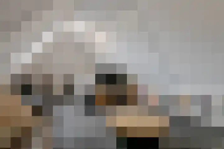 Oosterhof 4 Meteren thumbnail 21