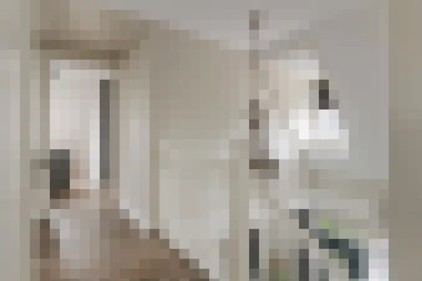 Oosterhof 4 Meteren thumbnail 28