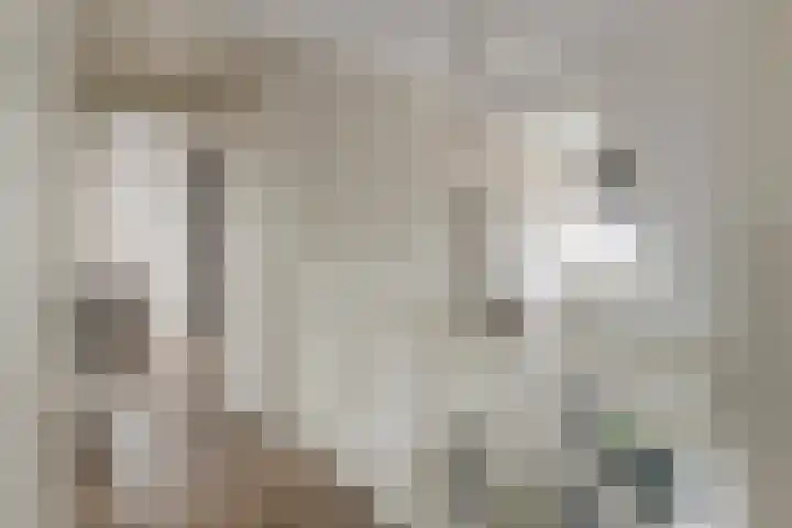 Oosterhof 4 Meteren thumbnail 28