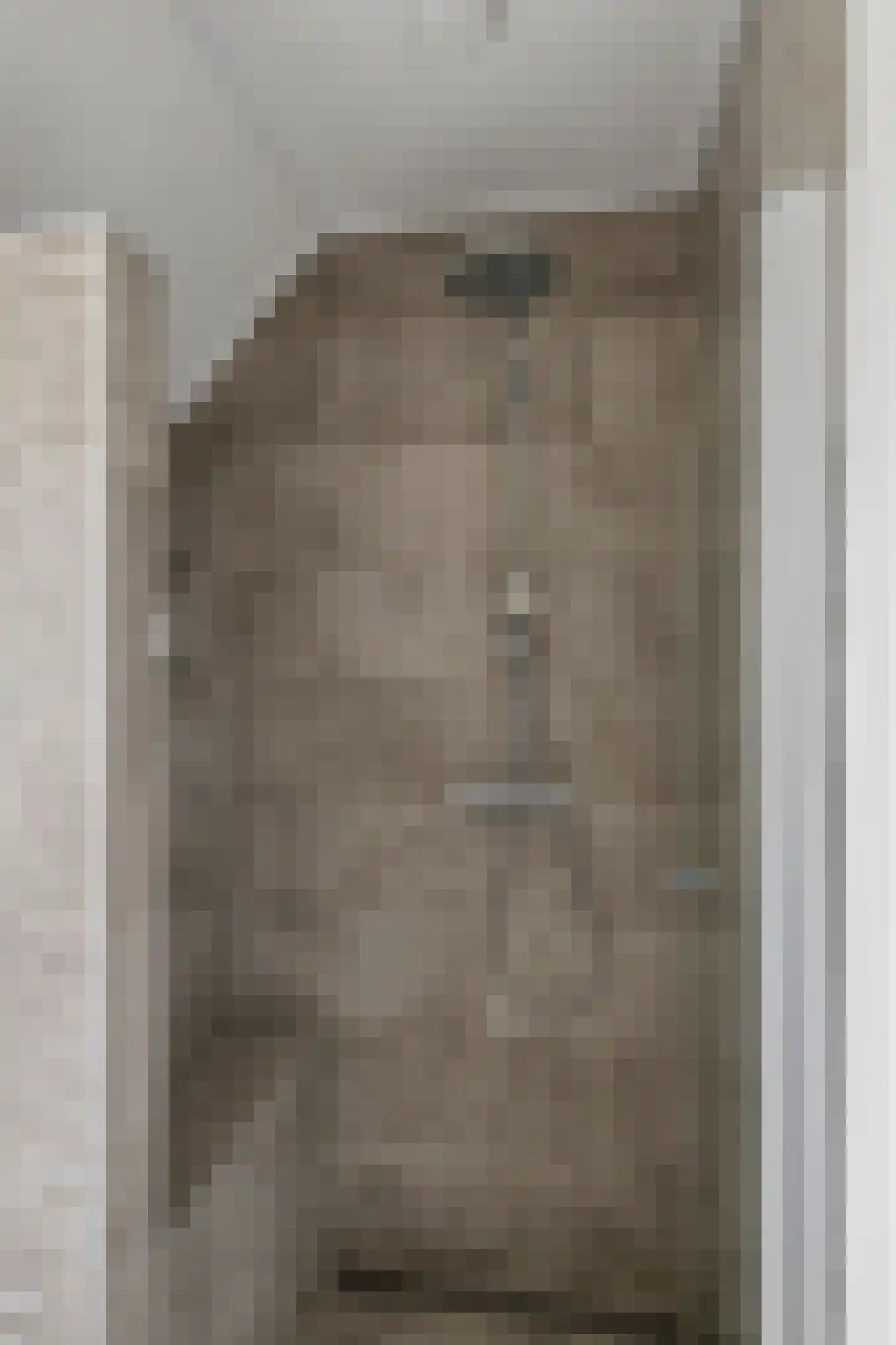 Oosterhof 4 Meteren thumbnail 33