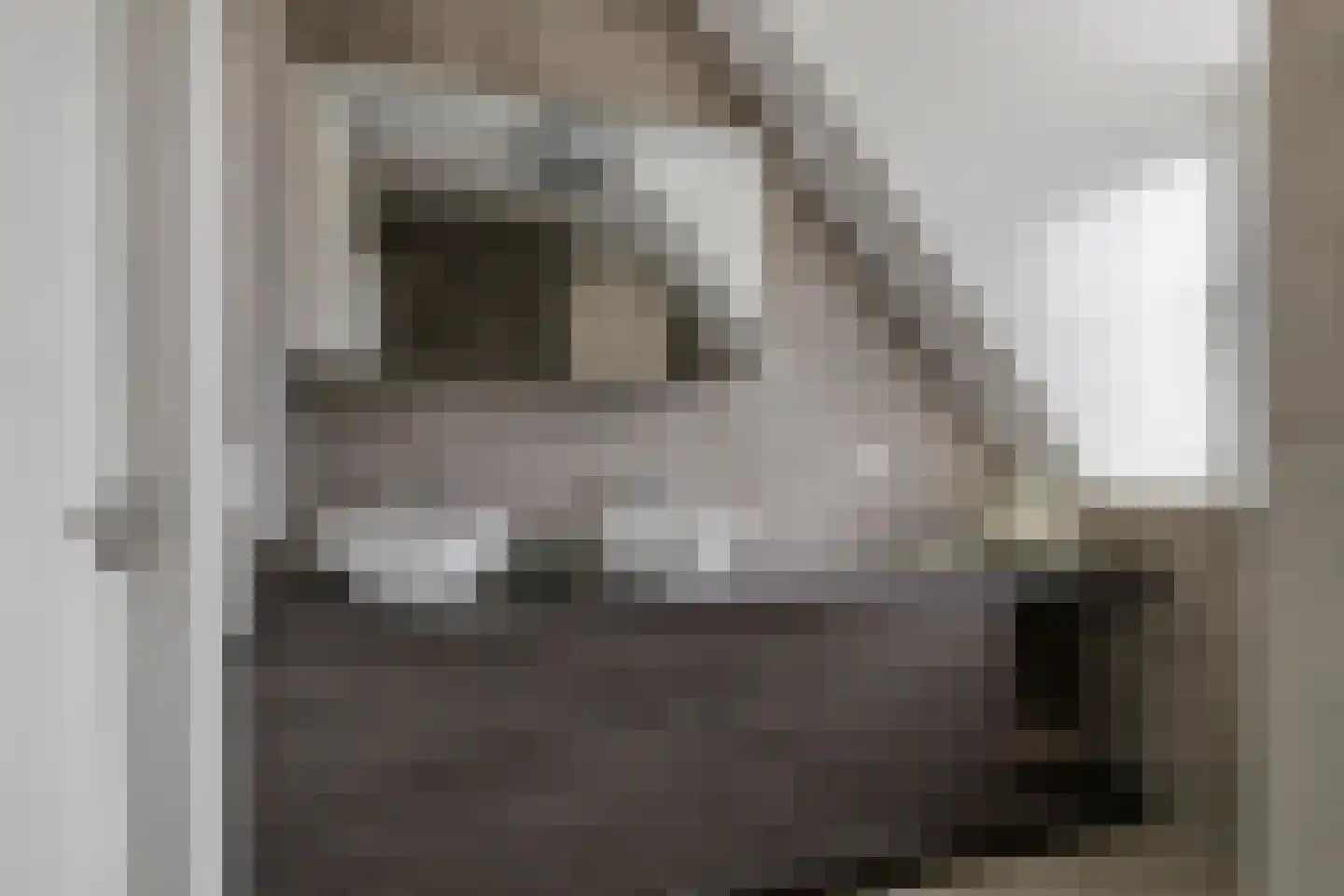 Oosterhof 4 Meteren thumbnail 34