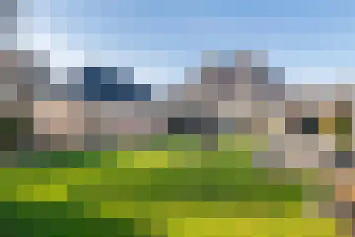 Oosterhof 4 Meteren thumbnail 40