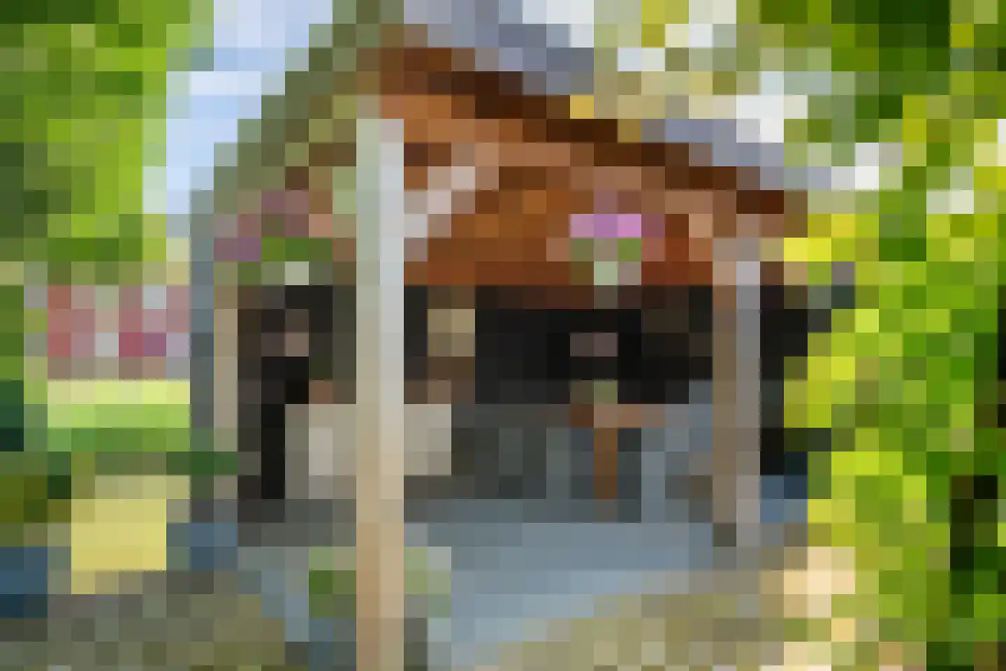 Oosterhof 4 Meteren thumbnail 42