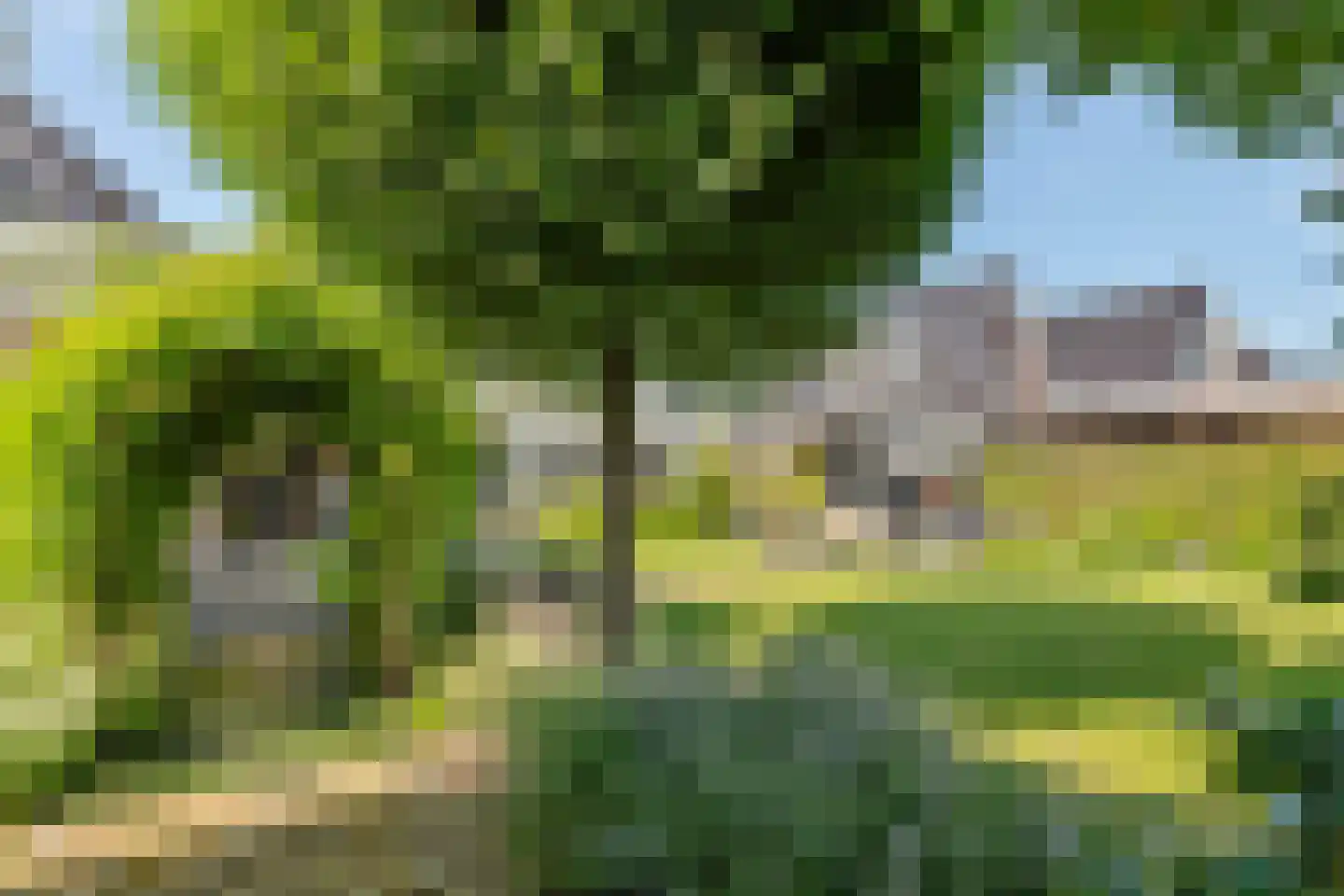Oosterhof 4 Meteren thumbnail 43