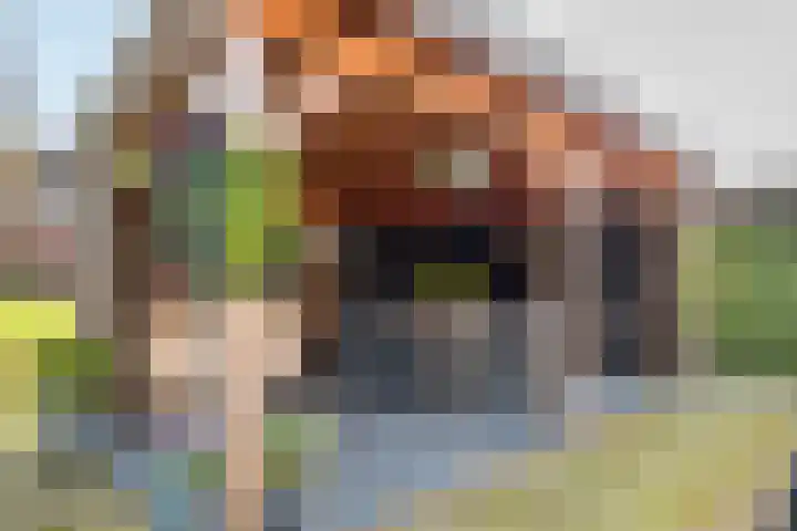 Oosterhof 4 Meteren thumbnail 44