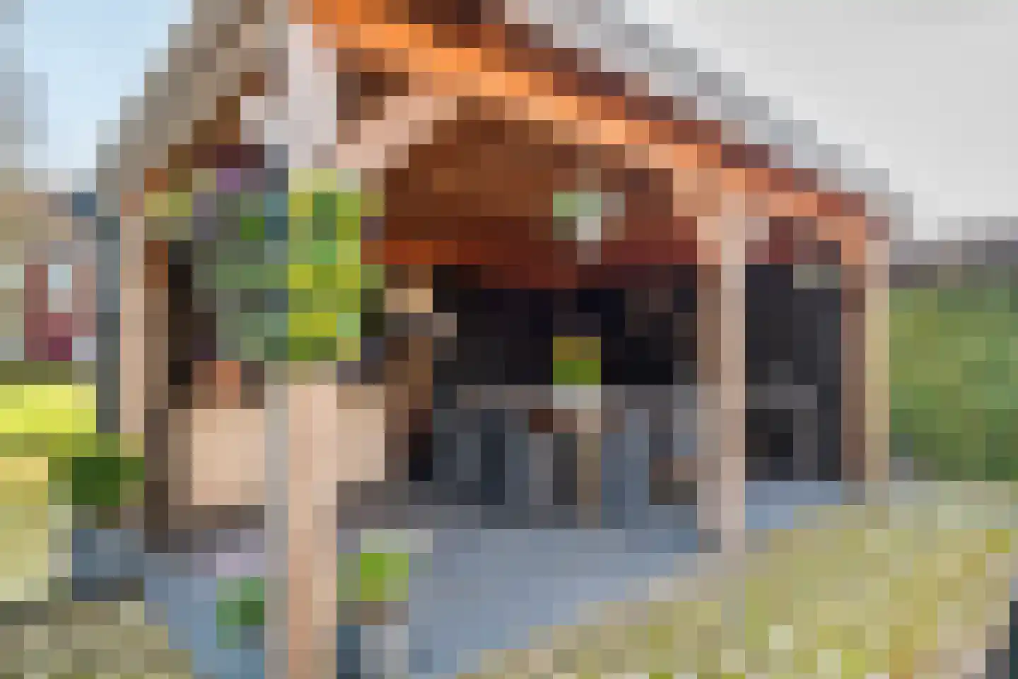 Oosterhof 4 Meteren thumbnail 44