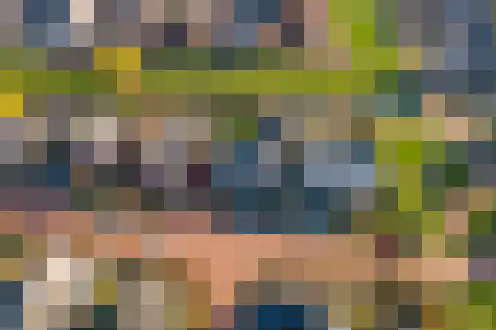Oosterhof 4 Meteren thumbnail 46
