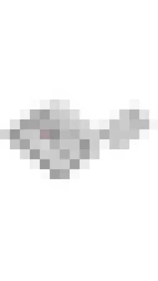 Oosterhof 4 Meteren thumbnail 53