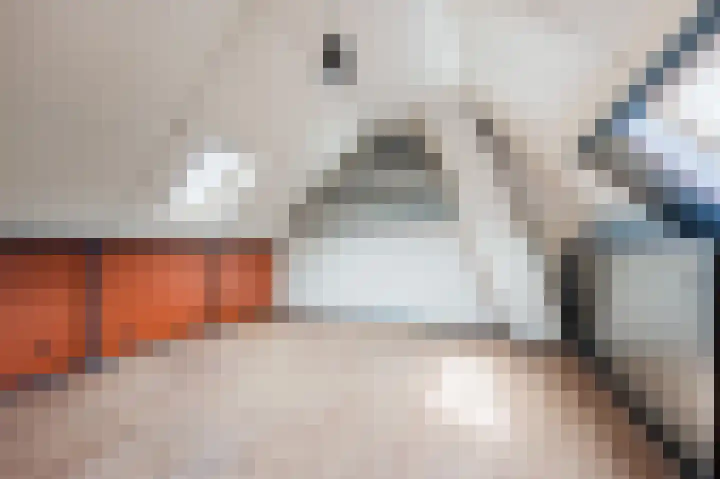 Oosterhof 6 Katwijk thumbnail 35