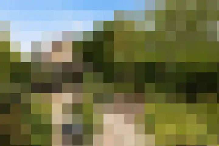 Oosterhoffpark 21 Lopik thumbnail 31