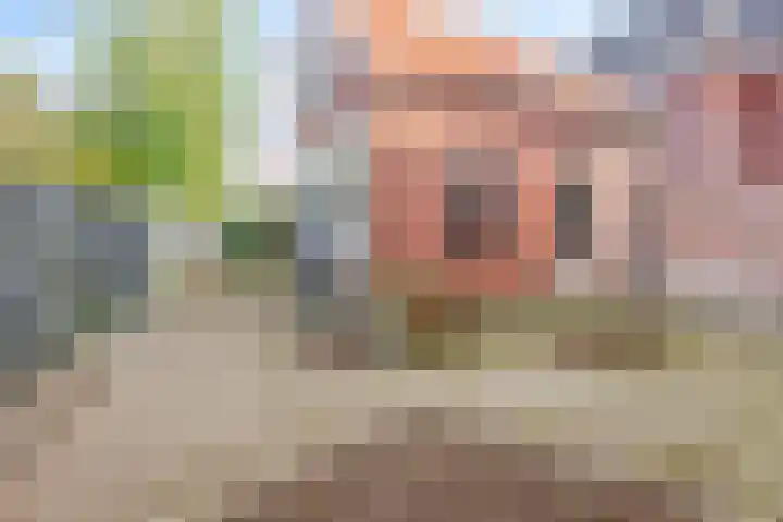 Oosterhofweg 31 Rijssen thumbnail 31