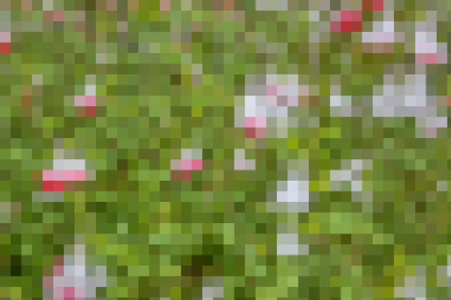 Oosterholtseweg 1 B IJsselmuiden thumbnail 57