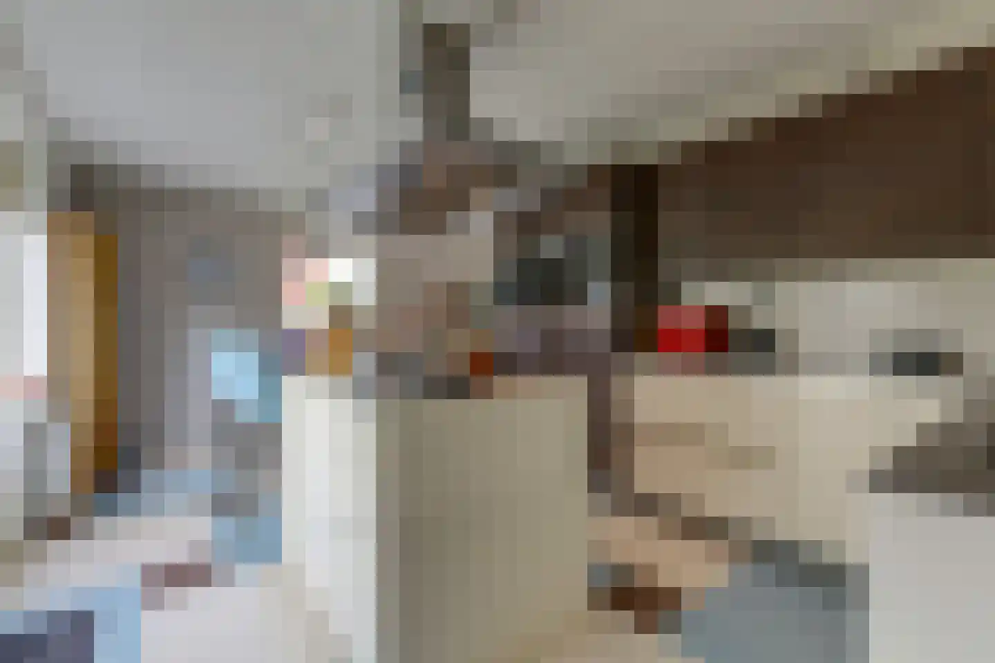 Oosterhoogte 1 Oosterbeek thumbnail 14