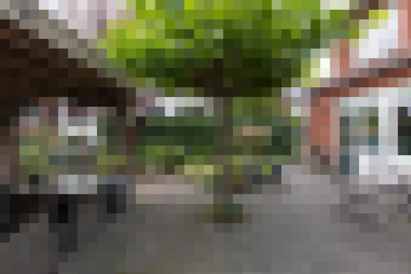 Oosterhoogte 1 Oosterbeek thumbnail 35