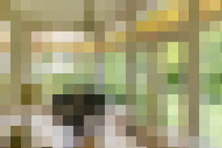 Oosterhoutlaan 1 Haarlem thumbnail 10