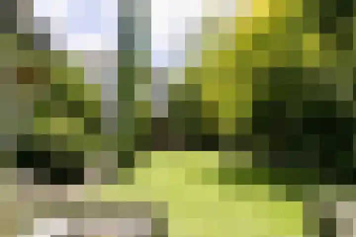 Oosterhoutlaan 1 Haarlem thumbnail 12