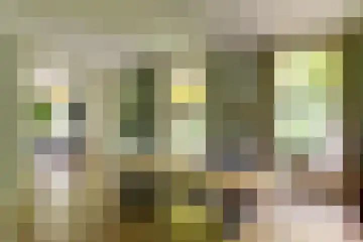 Oosterhoutlaan 1 Haarlem thumbnail 14