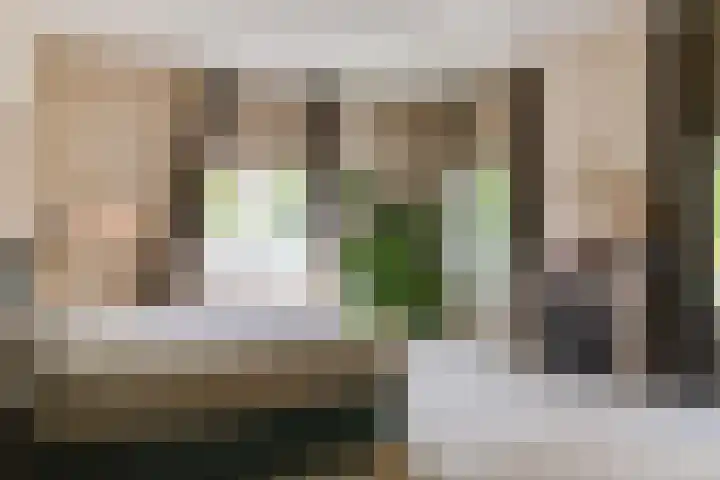 Oosterhoutlaan 1 Haarlem thumbnail 24